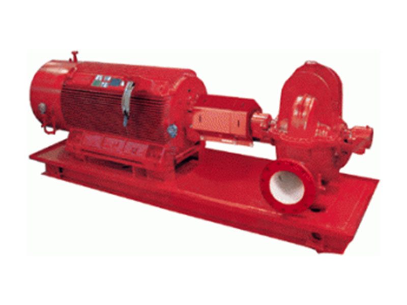 Double Suction Pumps